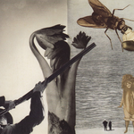 collage